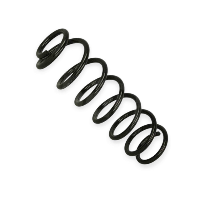 Пружина задня автомобіль Рено Scenic III 09- Мукачево - фото 1