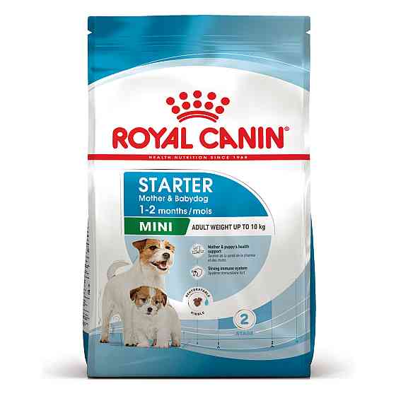 Royal Canin Mini Starter (Рояв Канін Міні Стартер Мазер Бебідог) корм для вагітних і годують собак до 10 кілограмів 8.5 кг. Запоріжжя