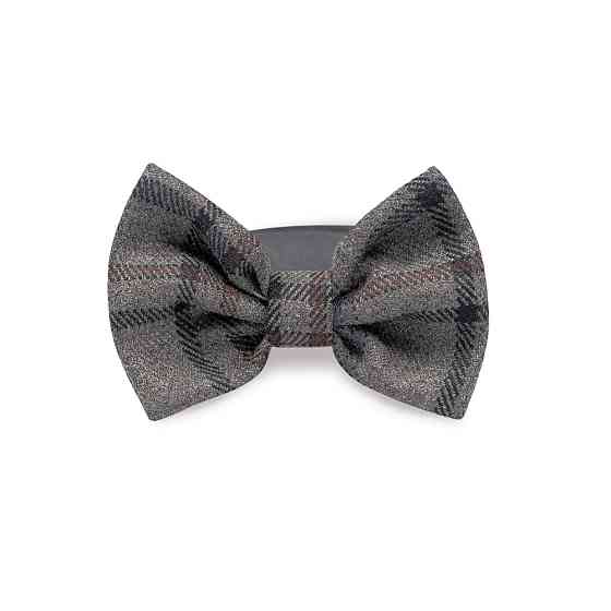 Аксесуар на шию Pet Fashion Butterfly для собак S -М Киев