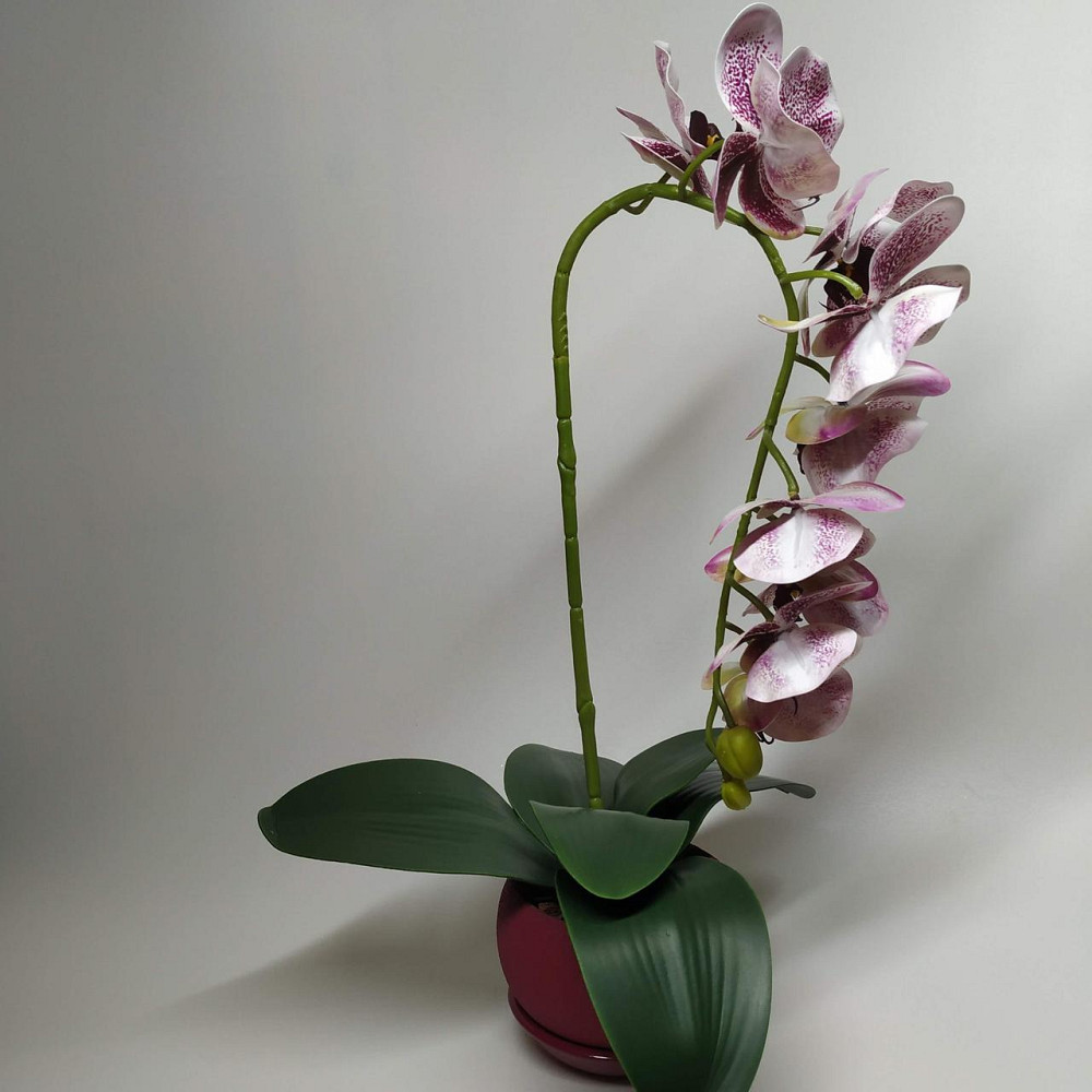 Штучна латексна орхідея VIP у бордовому керамічному кашпо на одну гілку бордовий градієнт Дніпро - фото 4