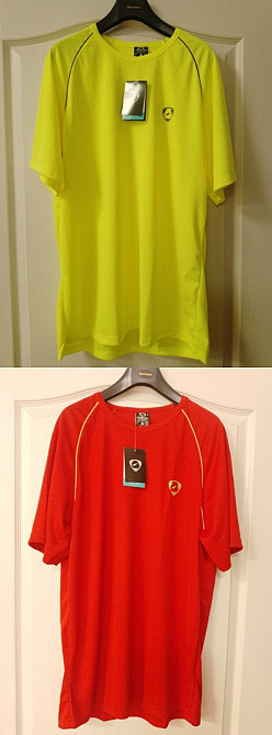 Чоловіча спортивна футболка Sport Dri Розмір Л Луцьк - фото 1