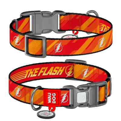 Нашийник для тварин WAUDOG Nylon з QR паспорто "Флеш Лого", світловідбивний S (280-1083) Вінниця