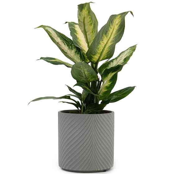 elemi Кашпо для квітів керамічне elemi "Листок" (темно-зелений) 13" круглий 1,3 л Коломыя