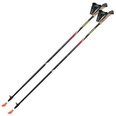 Палиці для скандинавської ходи Gabel FX-75 Snake Carbon 110 Dual Spike (7008351011100) Вінниця