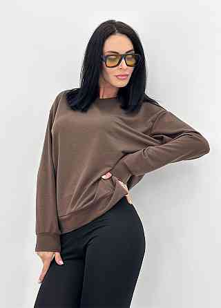 Базовий світшот з двонитки "Kaplan" оптом | Норма і батал 42-44, Шоколадний Київ