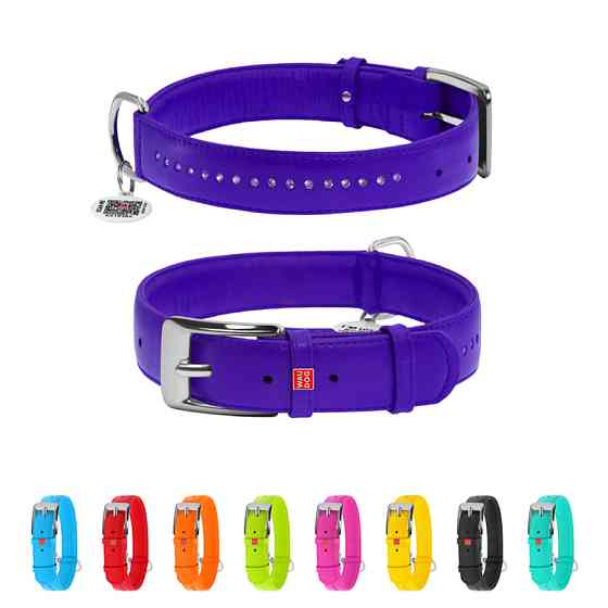 Нашийник для собак шкіряний WAUDOG Glamour з QR паспортом, подвійний зі стразами, XL, Ш 35 мм, Коломия