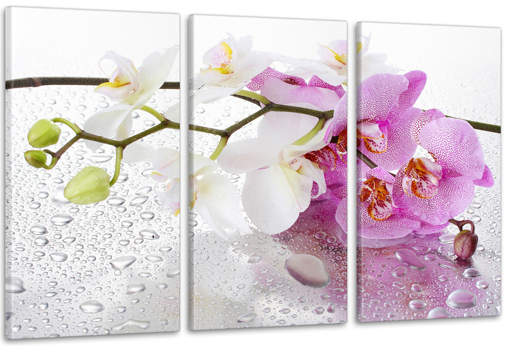 Модульная картина Цветы Орхидеи Art-15_3А 100x150 см Киев - изображение 1