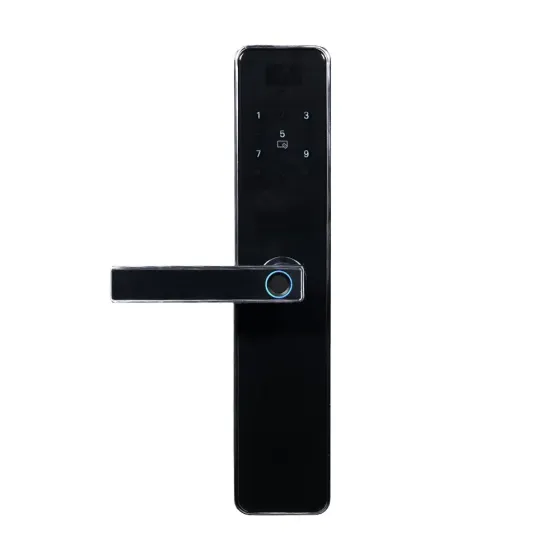 Замок біометричний автономний Trinix TRL-5403BTF Silver з Bluetooth, зчитувачем відбитків пальців і карт Mifare (65-00073) Київ