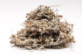 Сушеница топяная, 100г. MasterSEM Киев - изображение 1