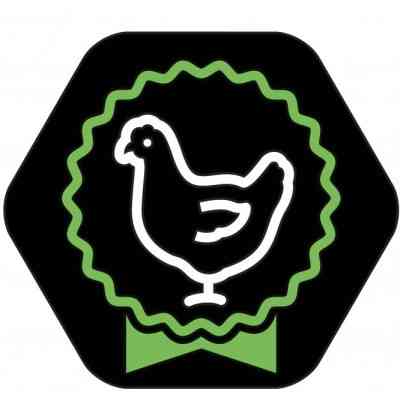 Сухий корм для собак Purina Pro Plan Small&amp;Mini Puppy з куркою та рисом 7 кг (7613035123366) Вінниця