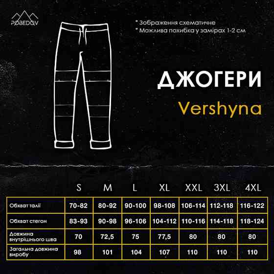 Чоловічі штани джогери з кишенями темно-сірі Pobedov Vershyna Київ