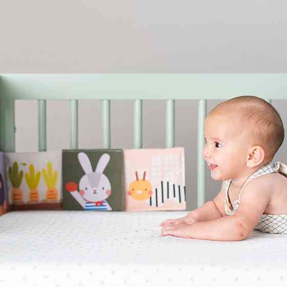 Розвиваюча книжка-розкладушка колеції Садочок у місті – Зайчики Дніпро