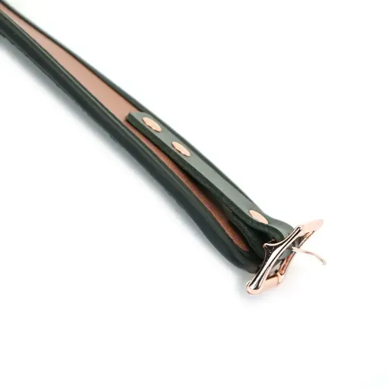 Нашийник з повідцем Liebe Seele Rose Gold Memory Collar with Leash Львів