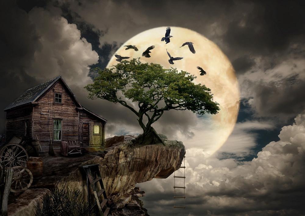 Пазл Зроблена з колод хатина на скелі - A Log Cabin on a Cliff (Enjoy-1614) Киев - изображение 3