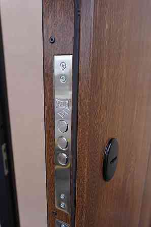 Дверь уличная модель LAMA BAU, дуб темный 860 Киев