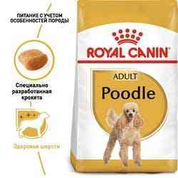 Royal Canin Poodle Adult (Роял Канін Пудель Едалт) сухий корм для дорослих собак породи пудель від 10 місяців Запоріжжя