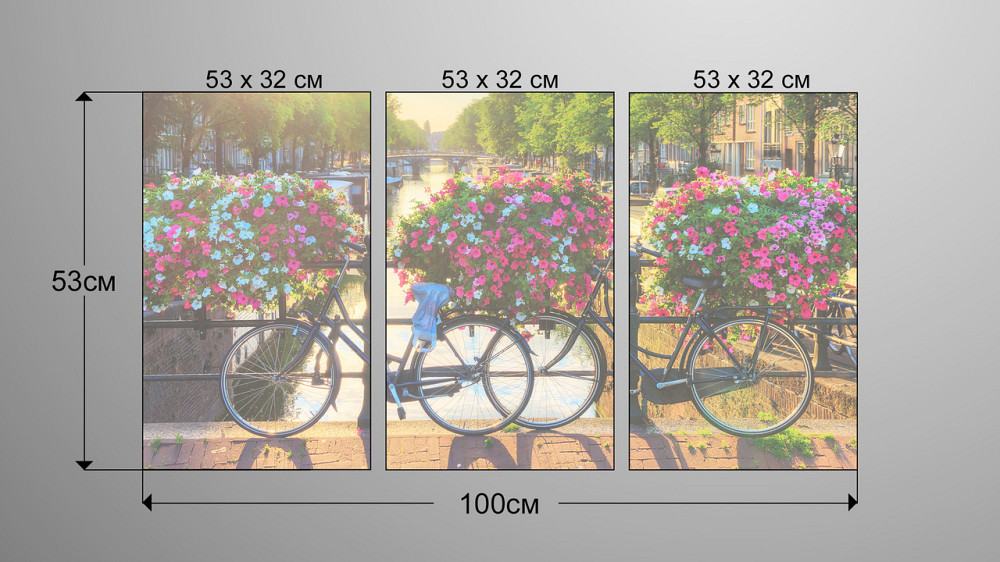 Модульна картина Велосипед Квіти Аrt-179_3А Київ - фото 3