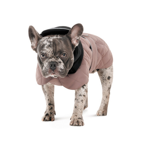 Попона Max S3 для собак Київ - фото 2