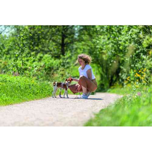 Шлей Trixie Premium для собак трекинговый M 53–64 см 20 мм розово-серый Киев