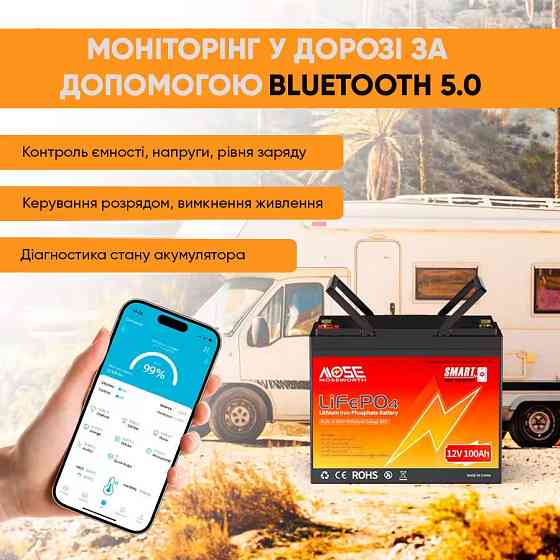 Літій-залізо-фосфатний акумулятор MOSEWORTH LiFePO4 12V 100 Ah Smart (1280Wh) (BMS 100A) Київ
