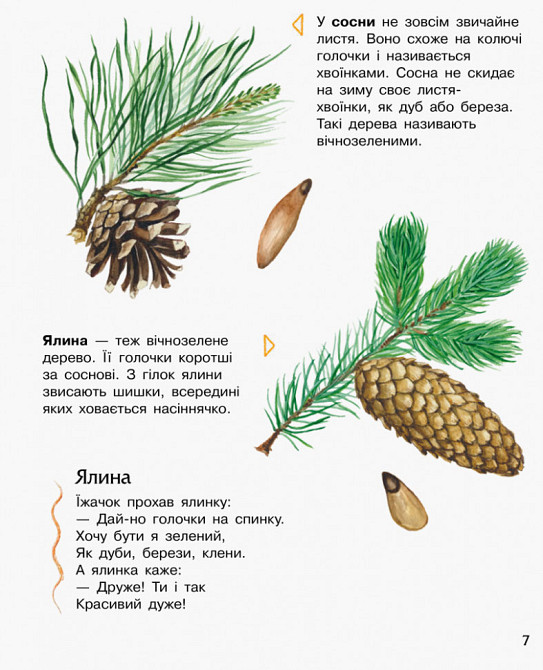 Детская энциклопедия про лес 614016 для дошкольников Винница - изображение 2