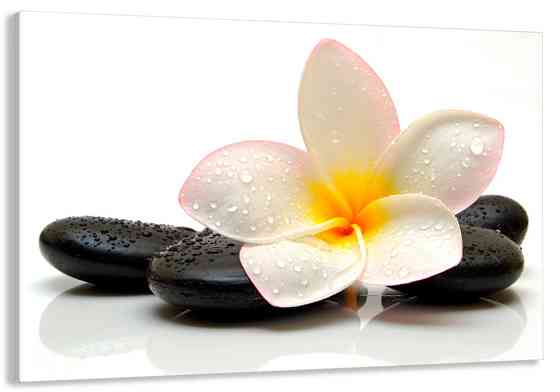 Картина холст в гостиную / спальню Спа-камені з франжіпані    MLP_104 50x100 см Киев