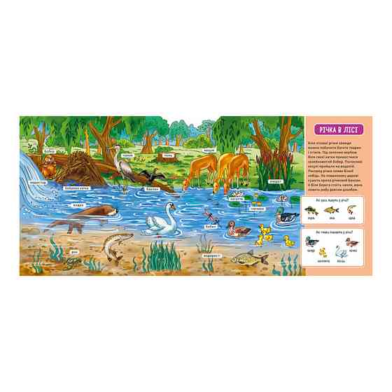 Мій перший словничок "У лісі" Ранок 116032 з віконцями Вінниця