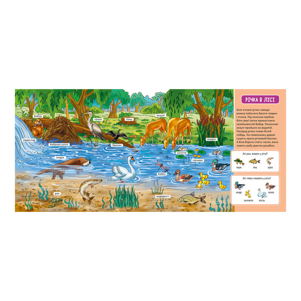 Мій перший словничок "У лісі" Ранок 116032 з віконцями Вінниця - фото 3