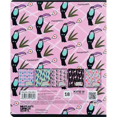 Тетрадь Kite BBH 18 листов, клетка (K24-236-1) Винница