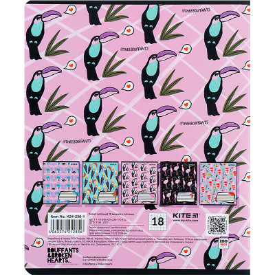 Тетрадь Kite BBH 18 листов, клетка (K24-236-1) Винница - изображение 6