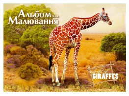 Альбом для малювання "Аркуш" скоба 12арк "ЕКО", шт Київ - фото 1