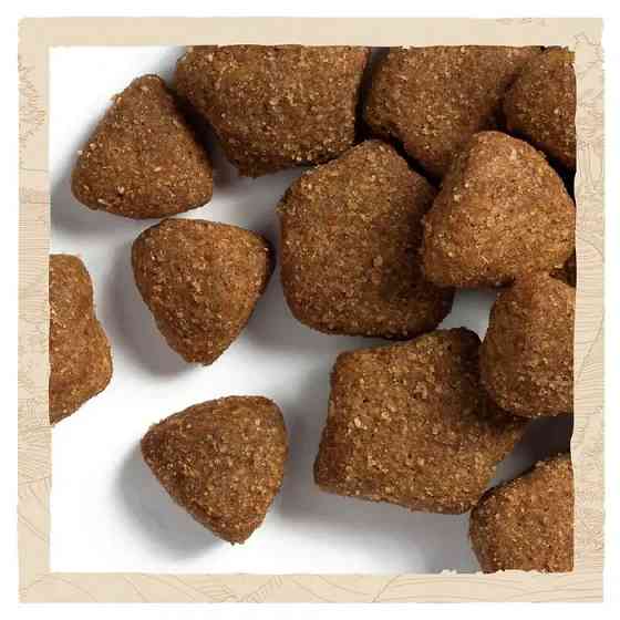 Сухой корм DOG CHOW Adult 1+ для взрослых собак, с ягненком, 14 кг Киев