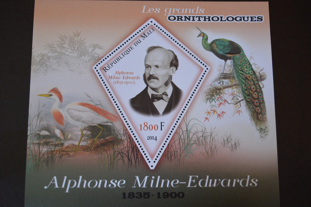 Марки. Фауна. Блок. 2010 рік (А-31) Полтава - фото 1