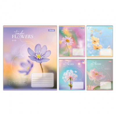 Тетрадь 1 вересня Tender Flowers А5 24 листов клетка (768076) Винница - изображение 1
