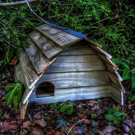 Будиночок для їжачків "Боня" моріон Миколаїв - фото 1