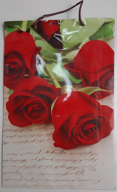 Пакет бумажный гигант вертиркальный (30х42х12)(артGV-062) (12 шт) Харьков - изображение 4