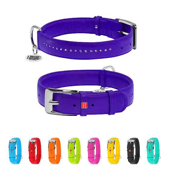 Нашийник для собак шкіряний WAUDOG Glamour з QR паспортом, подвійний зі стразами, L, Ш 25 мм, Д Коломыя