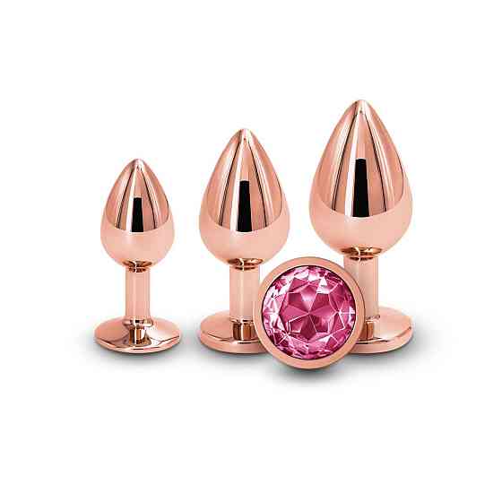 Набір анальних пробок NS Novelties Rear Assets - Trainer Kit - Rose Gold - Pink Gem Sex Aura Київ
