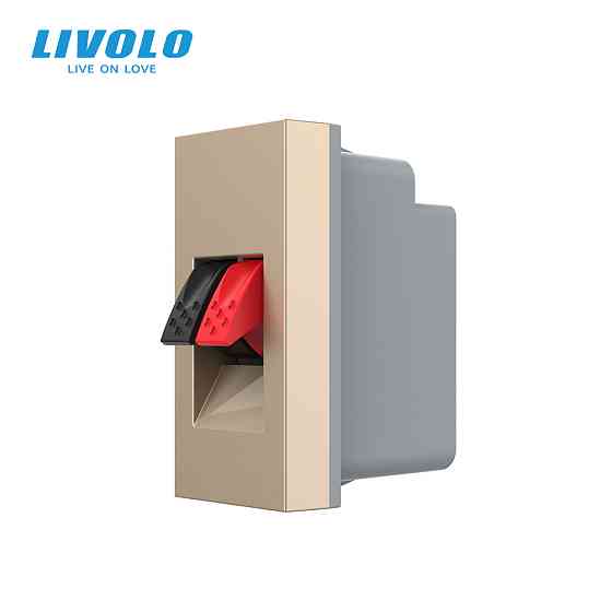 LIVOLO Hi-Fi аудіо розетка LIVOLO (Banana), золота, для колонок і підсилювачів, модуль 0.5 пост Коломия
