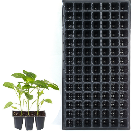 Касета для розсади 54*28 см 98 комірки Дніпро