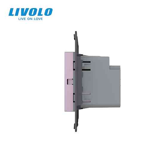 Сенсорний вимикач LIVOLO Sense, 2-сенсорний, рожевий, прохідний / перехресний, 5А 230В, без нейтралі, модуль без рамки (782000417) Коломыя