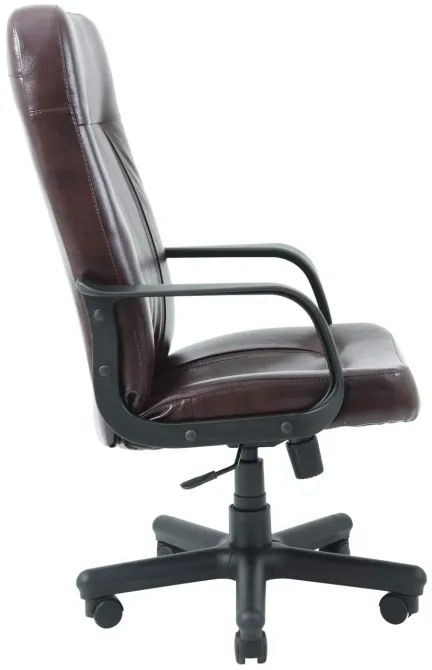 Офісне Крісло Керівника Richman Bordo Madras Dark Brown Пластік М2 AnyFix Коричневий Київ - фото 3