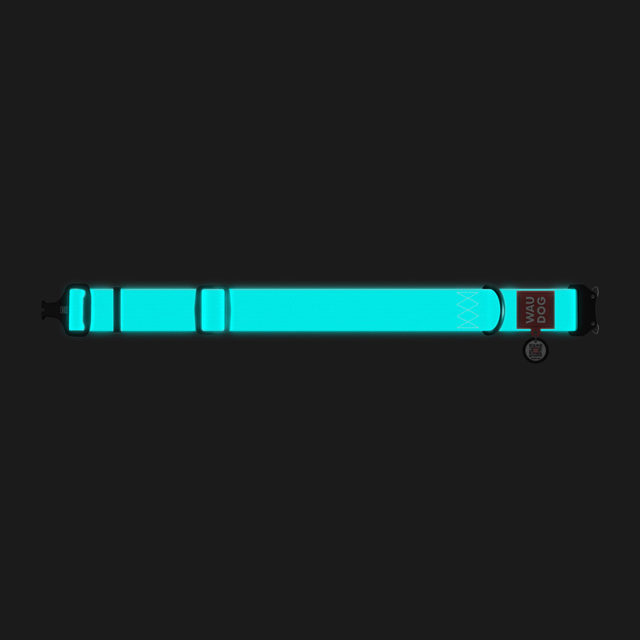 Ошейник для собак водостойкий WAUDOG Waterproof з QR-паспортом, світиться в темряві , металева пряжка-фастекс, XXL, Ш 40 мм, Д Київ - фото 2