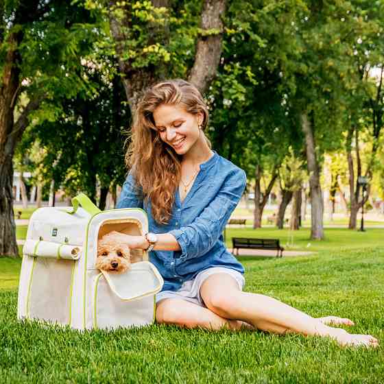 Рюкзак-переноска для котів та дрібних порід собак WAUDOG Relax Eco, 42*34*27 см, до 8 кг Київ