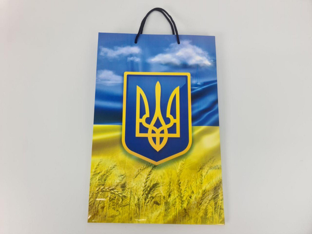 Большой бумажный пакет вертикальный  25/37/8(артBV-189) (12 шт) Харьков - изображение 3