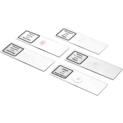 Микроскоп Bresser Biolux DLX 20x-1280x (5014000) (931424) Винница