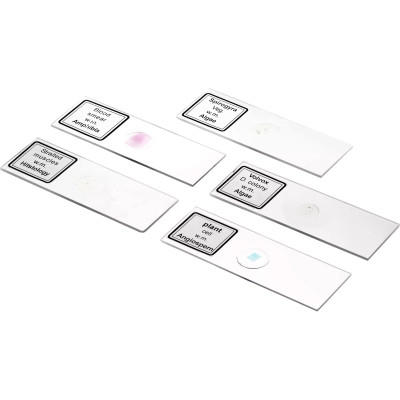 Мікроскоп Bresser Biolux DLX 20x-1280x (5014000) (931424) Вінниця - фото 5