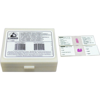 Набор микропрепаратов Konus Здорові тканини людського тіла, частина II 10шт (4911) Винница - изображение 1