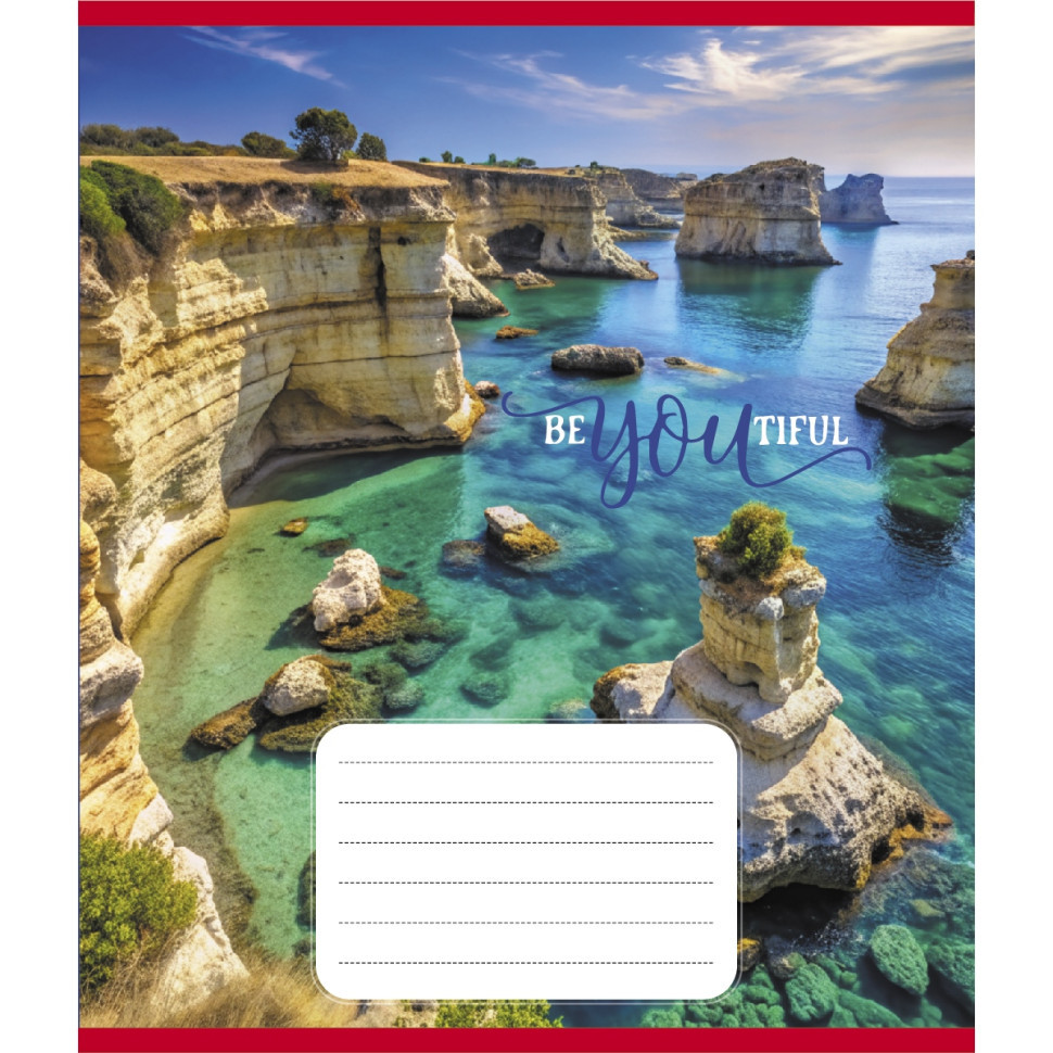 Тетрадь ученическая 