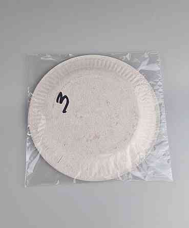 Паперова тарілка з малюнком 18 см "No 3" Півонії візерунок 10 шт (1 пачка) Харків